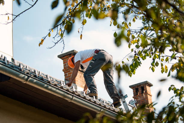 Best Flat Roof Repair Services  in Grass Valley, CA